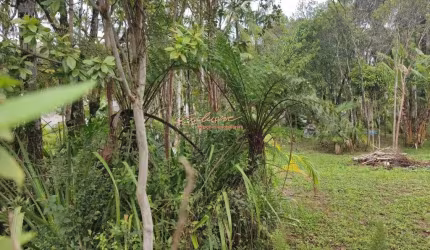 Terreno, 1400m², à venda em Mogi das Cruzes, BIRITIBA USSU - MOGI BERTIOGA