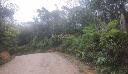 Terreno, 16000m², à venda em Mogi das Cruzes, Biritiba Ussu - MOGI BERTIOGA