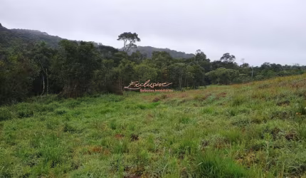 TERRENO/área PARA CHÁCARA - biritiba ussu - 10.000m2 - MOGI DAS CRUZES