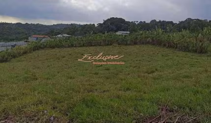 Chácara/terreno 5000 m2 em Biritiba Ussu - Boa Vista - Mogi das Cruzes