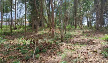 Terreno para Chácara - 1000m2, frente para rodovia Mogi Bertioga. Vila Moraes