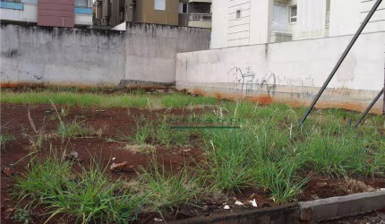 Terreno para alugar, 768 m² por R$ 30.000,00/mês - Jardim Botânico - Ribeirão Preto/SP