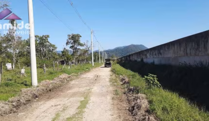 Terreno à venda, 278 m² por R$ 80.000,00 - Balneário dos Golfinhos - Caraguatatuba/SP