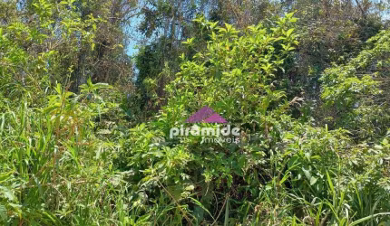 Terreno à venda, 360 m² por R$ 70.000,00 - Balneário dos Golfinhos - Caraguatatuba/SP