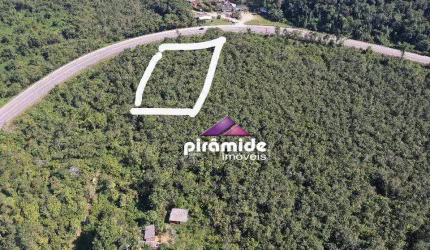 Terreno à venda, 10000 m² por R$ 2.000.000,00 - Itamambuca - Ubatuba/SP