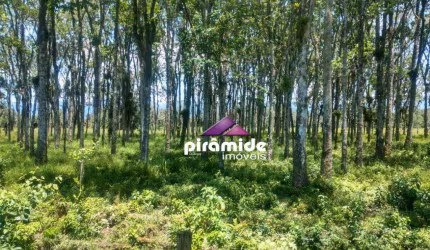 Área à venda, 30000 m² por R$ 1.990.000,00 - Pegorelli - Caraguatatuba/SP
