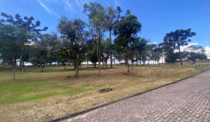 Terreno à venda na Gen. Alexandre Moss Simões dos Reis, 1, São Ciro, Caxias do Sul por R$ 350.000