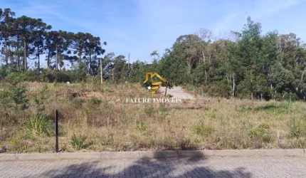 Terreno à venda na Rua Antônio Tomé, 7093, Ana Rech, Caxias do Sul por R$ 225.000