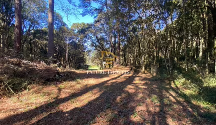 Chácara / sítio à venda na Caxias do Sul, 300, Centro, Flores da Cunha por R$ 266.000