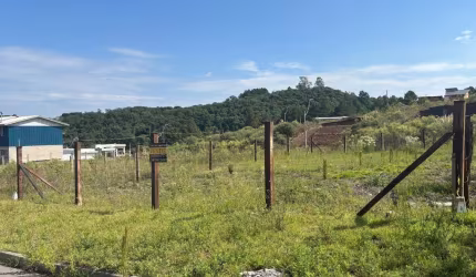 Terreno à venda na Ver. Pedro Rech, São Giácomo, Caxias do Sul por R$ 175.000