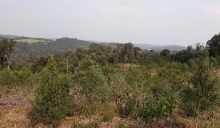 TERRENO RURAL COM 152.369,59m² LOCALIZADO EM SÃO BENTO DO SUL-SC