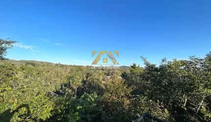 Chácara, 8000 m²  - Zona Rural - Palmas/TO