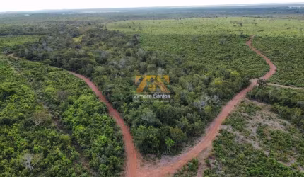 Fazenda, 269 alqueires - Centro - Lagoa da Confusão/TO
