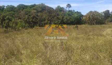 Fazenda , 142 alqueires - Zona Rural - Santa Rita/TO