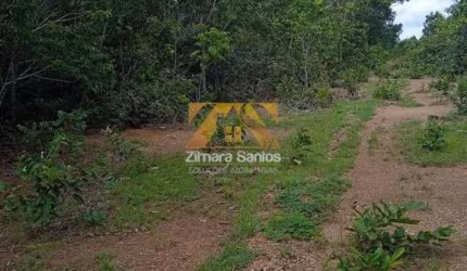 Fazenda, 114 alqueires - Região Vale do Araguaia/TO