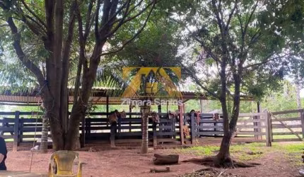 Fazenda, 18 alqueires - Palmas/TO