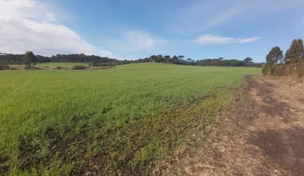 Área à venda no bairro Rincão - Tijucas do Sul/PR