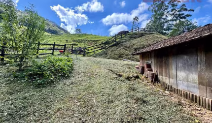 Sítio em Vila Doze  -  Antônio Carlos