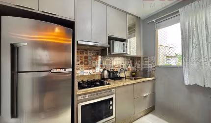 Apartamento no bairro Roçado  -  São José