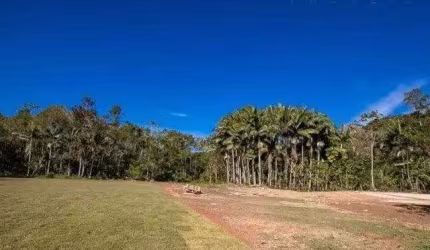 Terreno em Santa Barbara  -  Antônio Carlos
