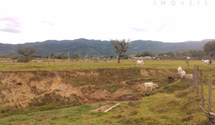 Sítio em Três Riachos - Biguaçu