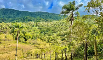 Terreno para sítio em Vila Doze - Antonio Carlos