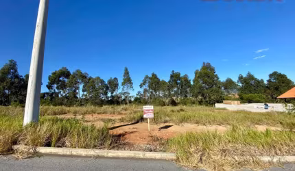 Terreno em Areias do Meio  -  Governador Celso Ramos