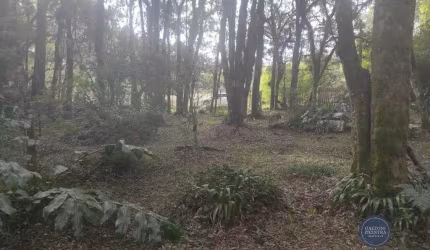 Terreno à venda no bairro Ana Rech em Caxias do Sul/RS