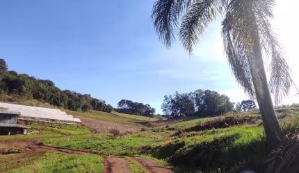 Chácara à venda no bairro Santa Lúcia do Piaí - Caxias do Sul/RS