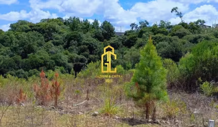 Terreno à venda no bairro São Giácomo - Caxias do Sul/RS