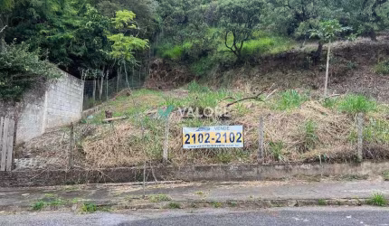 Lotes 450 Metros Comiteco