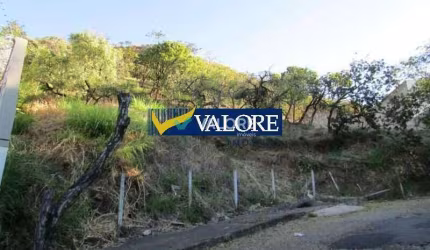 Lote à venda no Comiteco