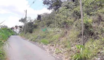 Lote Bairro - Comiteco