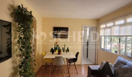Apartamento à venda na Vila Mascote, 3 dormitórios