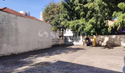 AREA COM GRANDE POSSIBILIDADE CONSTRUTUTIVA