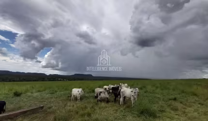 Fazenda à venda, ZONA RURAL,localizado em  Poxoréu-MT com  1.610 Hectares.
