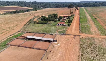 Fazenda à venda, Zona Rural, Colíder, MT