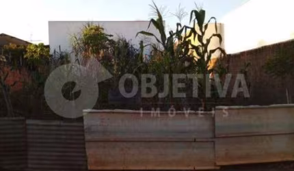 Excelente lote no Bairro São Jorge em Uberlândia