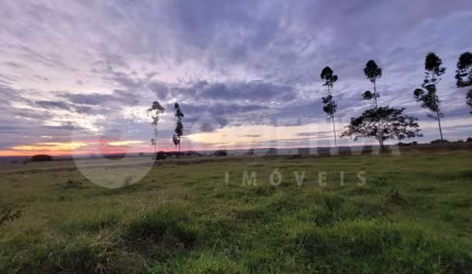 Sítio com 75.000m², Topografia plana, 4 km do Trevo da Petrobras - Uberlândia