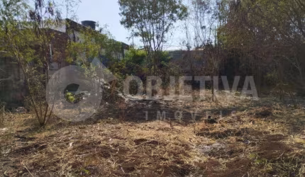 Terreno à venda, OSVALDO REZENDE - UBERLANDIA/MG