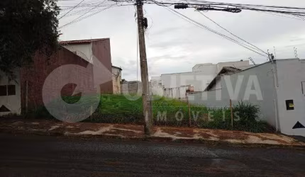 Lote de gaveta disponível para venda no bairro Vigilato Pereira em Uberlândia
