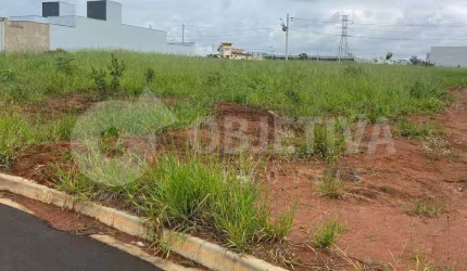 Terreno à venda, Bem Viver Sul - UBERLANDIA/MG