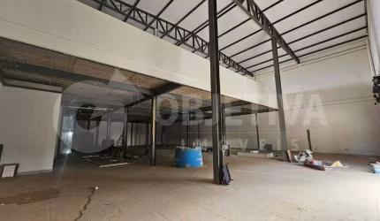 Galpão para aluguel, 10 vagas, SANTA LUZIA - UBERLANDIA/MG