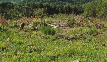 Terreno à venda no Bom Jardim, Camanducaia , 20000 m2 por R$ 321.000