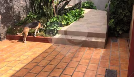 Casa com 3 quartos à venda em Vila Romana - SP