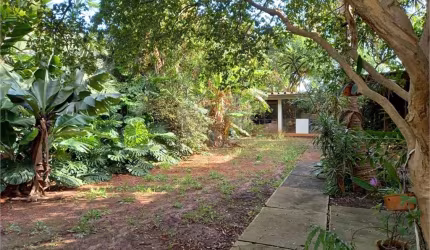 Terreno à venda em Butantã - SP