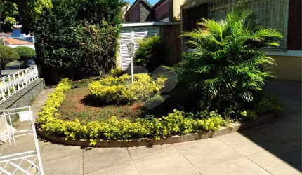 Casa térrea com 3 quartos à venda em Alto Da Lapa - SP