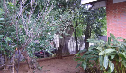 Casa com 3 quartos à venda em Vila Ida - SP