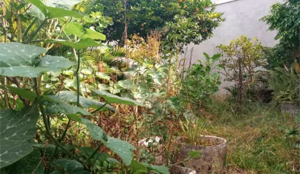 Casa térrea com 3 quartos à venda em Vila Ipojuca - SP