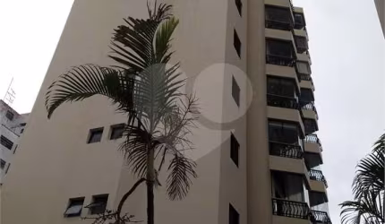 Apartamento com 3 quartos à venda ou para locação em Sumaré - SP